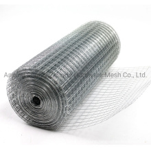 China Manufacturer of 1/4 1/2 3/4 1 2 Inch Mesh Galvanized Welded Wire Mesh for Fence (WWM)